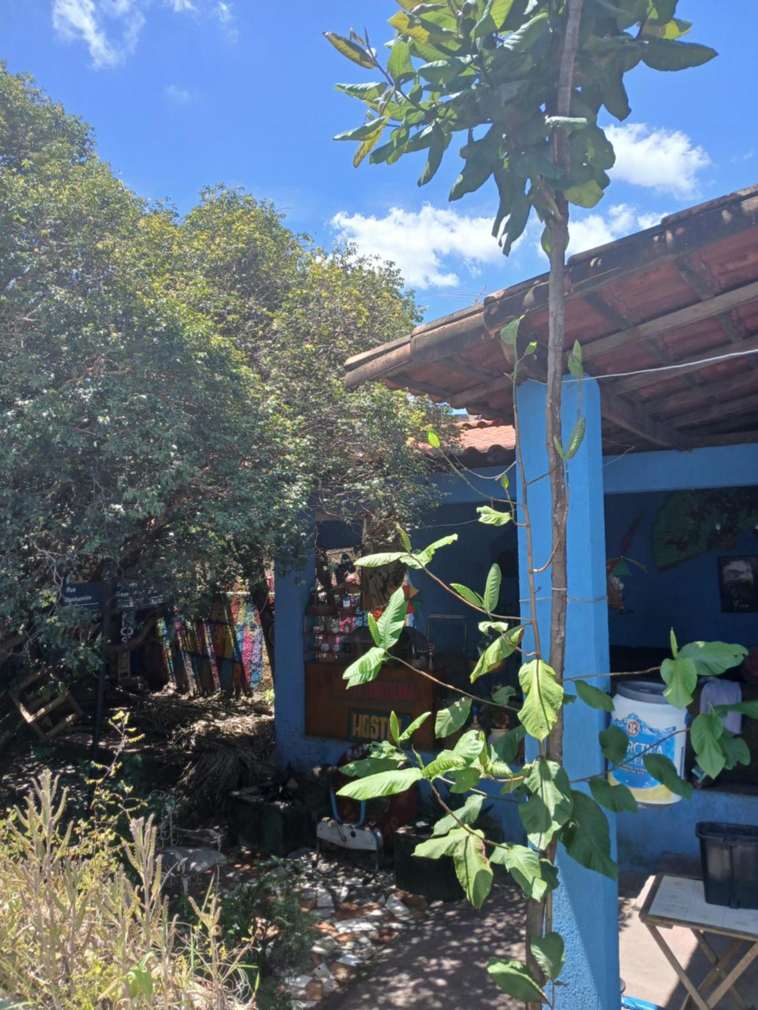 Hostel Jabuticaba เบโลโอรีซอนชี ภายนอก รูปภาพ