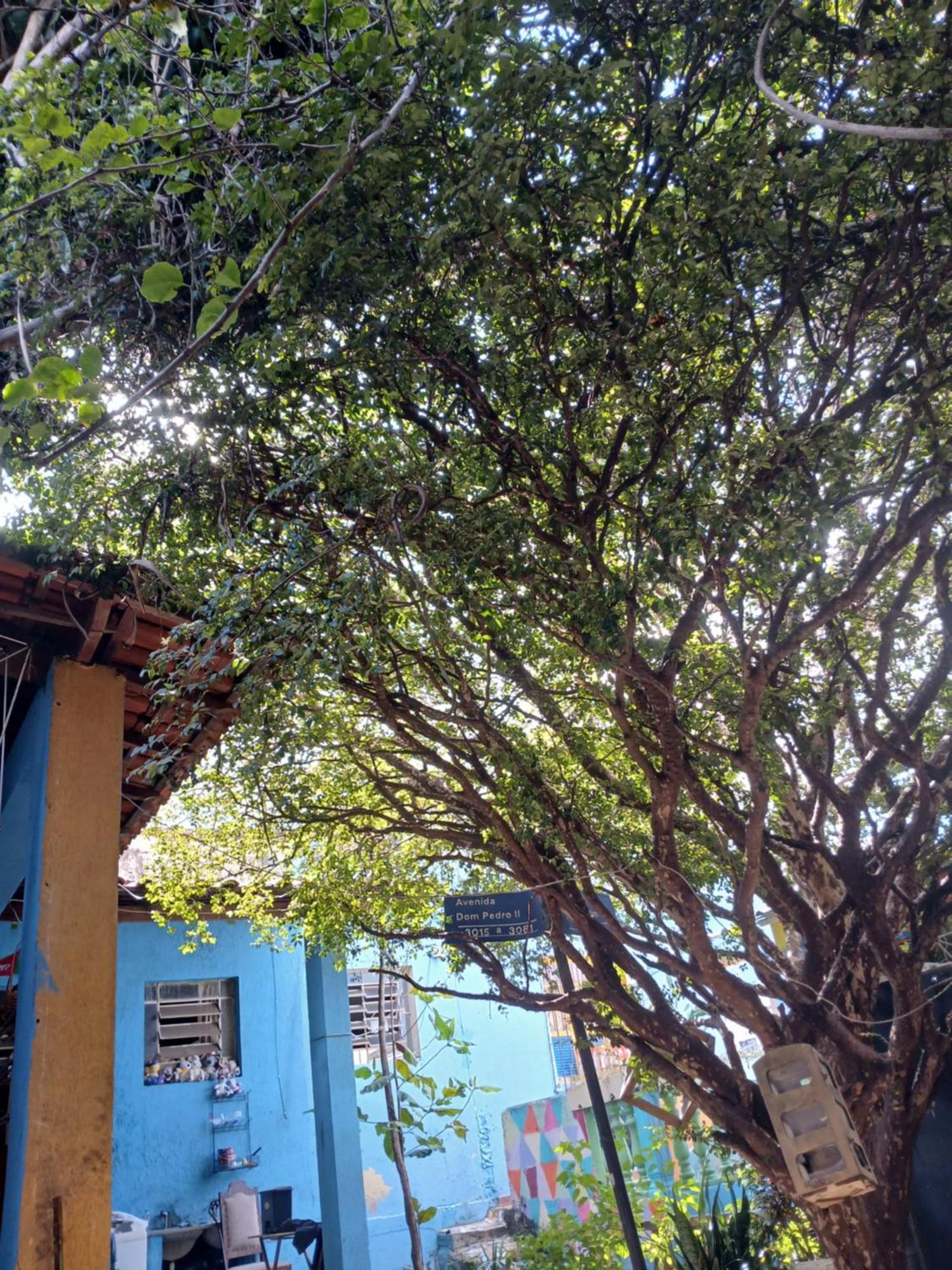Hostel Jabuticaba เบโลโอรีซอนชี ภายนอก รูปภาพ